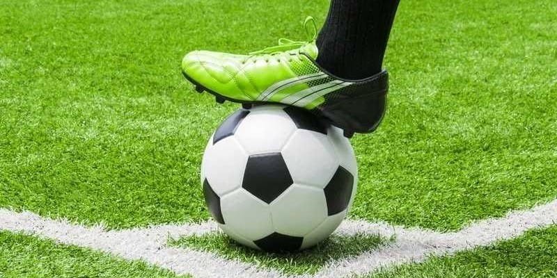 Kinh nghiệm cá cược bóng rổ 8xbet phân tích phong độ và lịch thi đấu