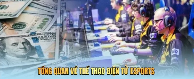 Tổng quan các kèo thể thao điện tử tại 8Xbet